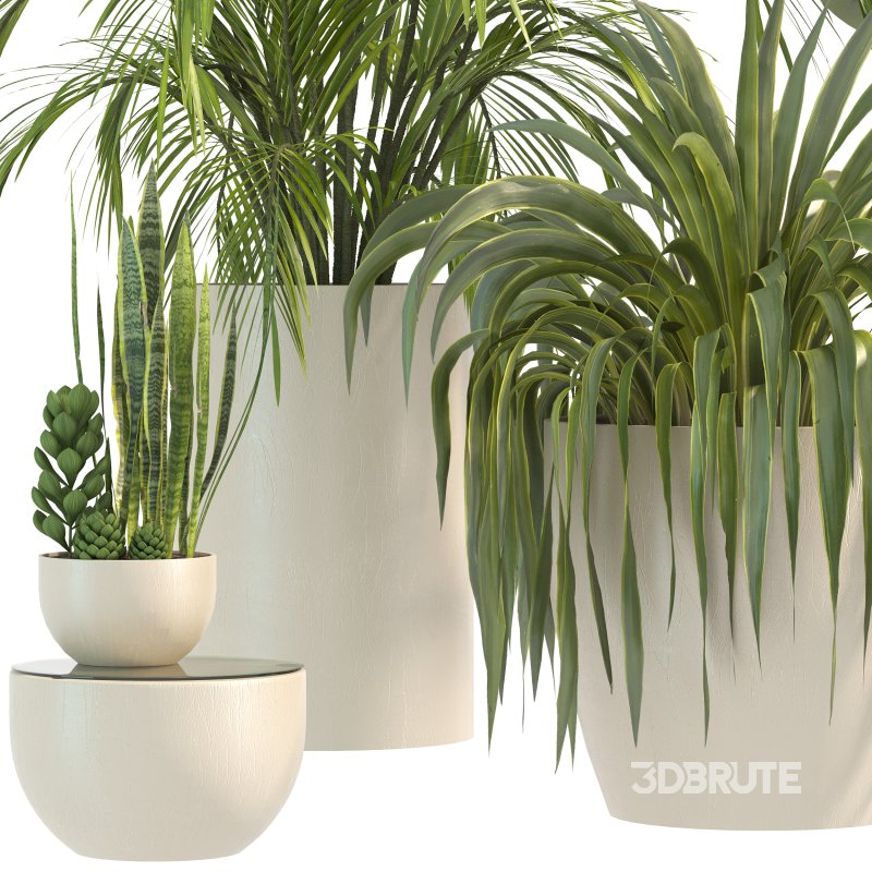 Plant Set 10 Image 5