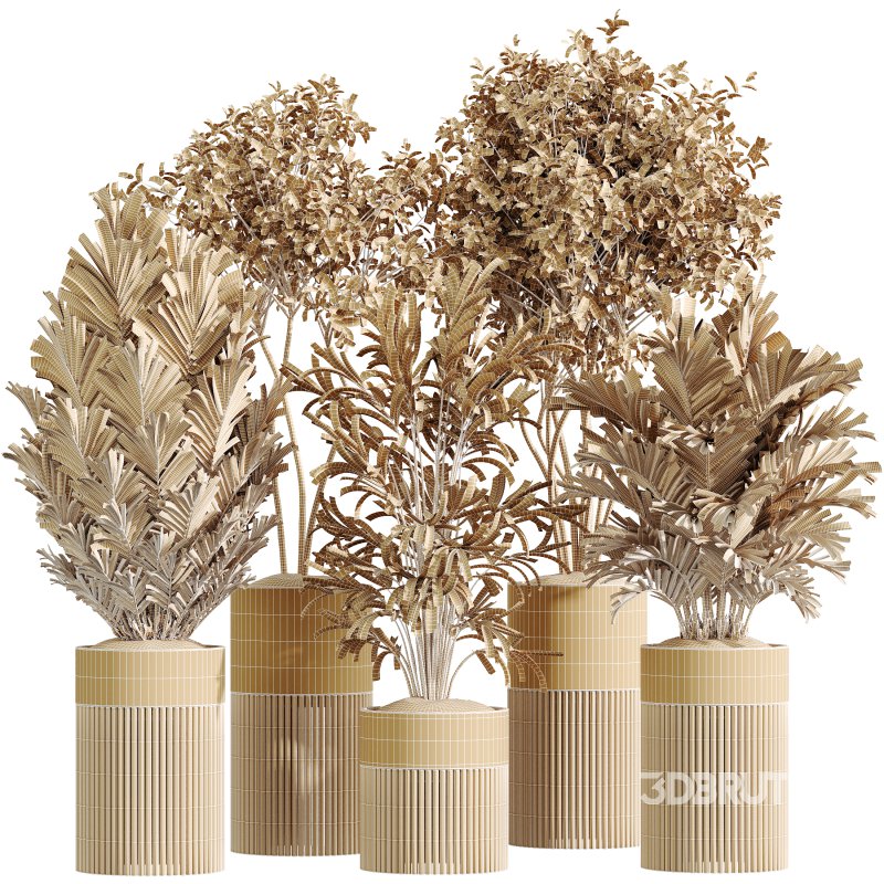 AV Indoor Plants Set 330 Palm Kentia and Olive Eucalyptus and Dypsis Palm Image 6