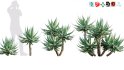 Collection 12 – Desert Garden - Thumbnail 11