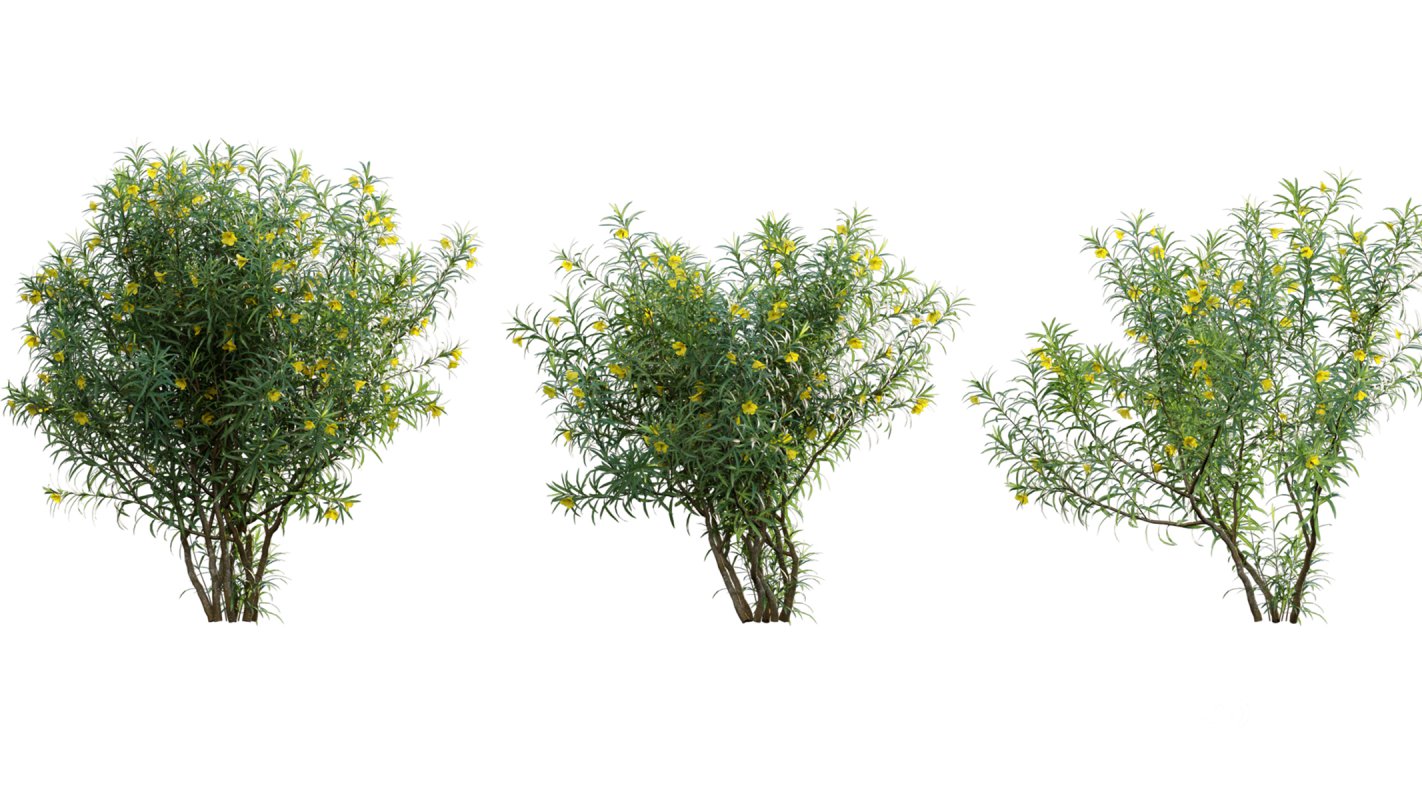 Collection 17 – Chinese garden Image 40