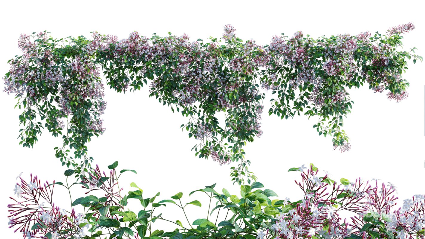 Collection 04 – Tropical Garden Image 9