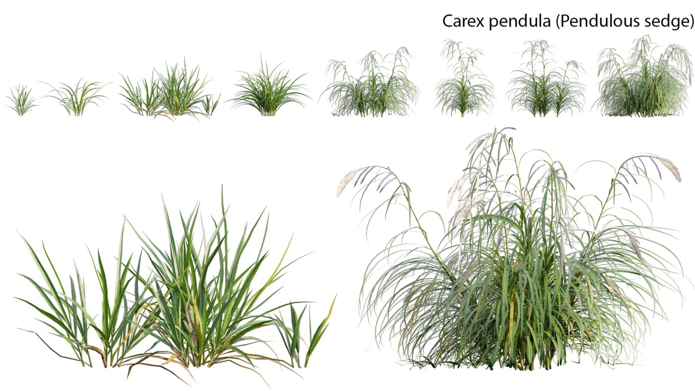 Collection 14 – English Garden Image 17