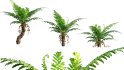 Collection 09 – Fern Garden - Thumbnail 14