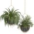 Metal Hanging Plants 05 - Thumbnail 5