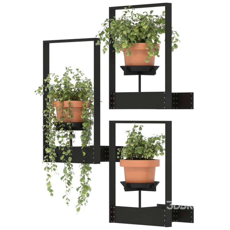 Boho Hanging Plants 04 Image 6