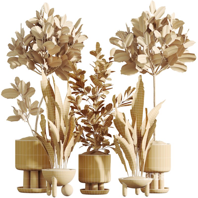 AV Indoor Plants Set 334 Aspidistra Elatior and Rubber Ficus Elastica and Ficus microcarpa Moclame Image 13