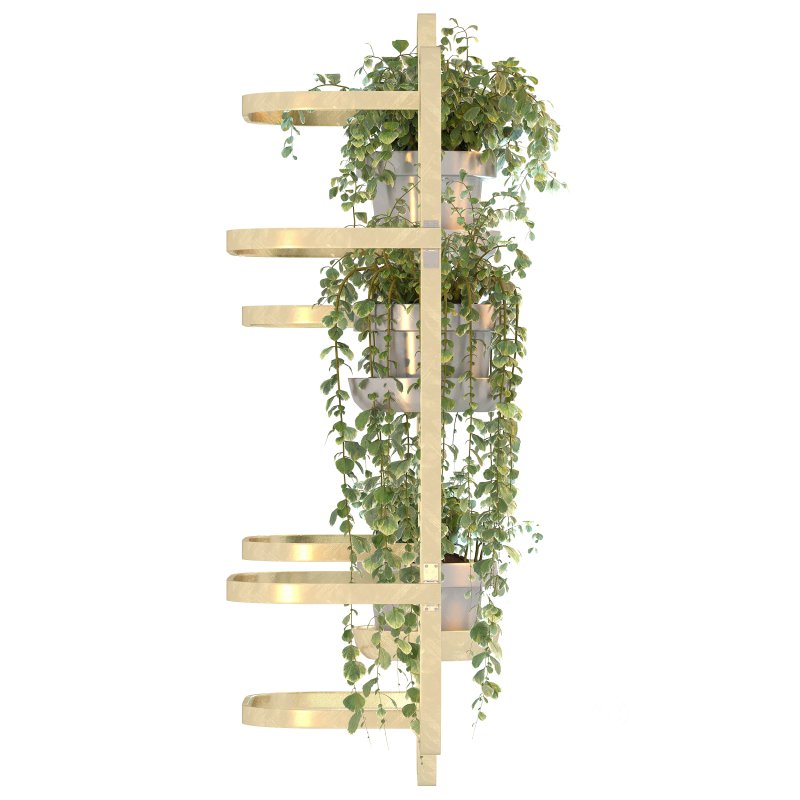 Golden Metal Hanging Plant Image 2