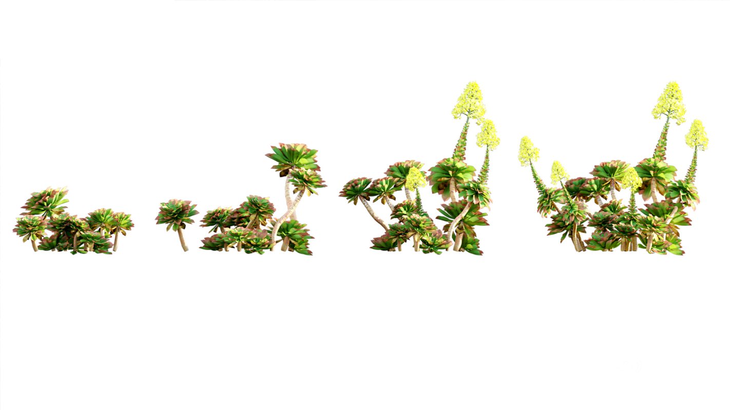 Collection 02 – Mediterrannean Garden Image 11