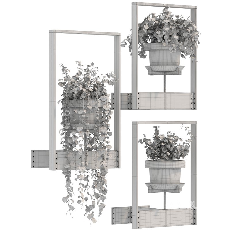 Boho Hanging Plants 04 Image 2