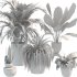 Plant Set 10 - Thumbnail 1