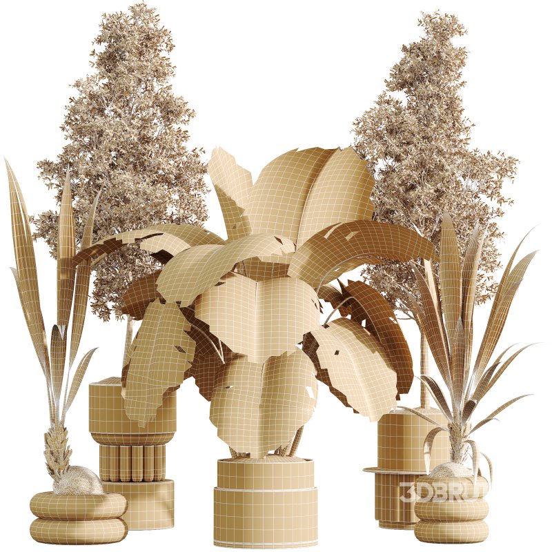 AV Indoor Plants Set 332 Swiss Cheese and Mission Olive and nucifera Coconut Palm Image 8