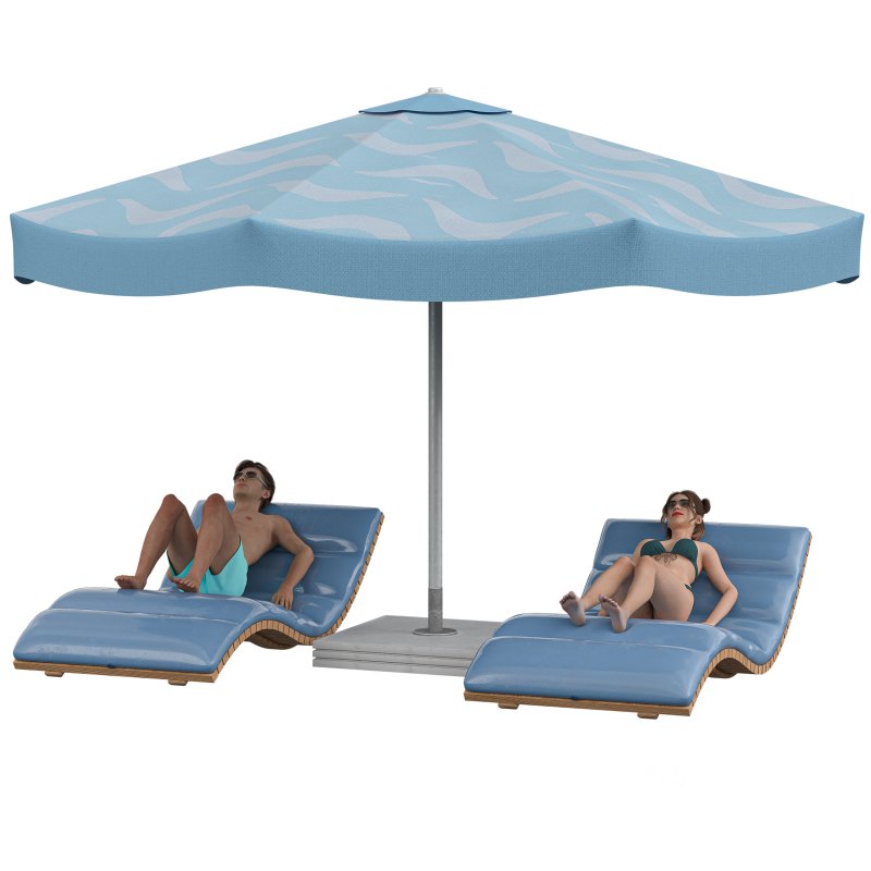 Sunbathing Lounge Duo Image 1