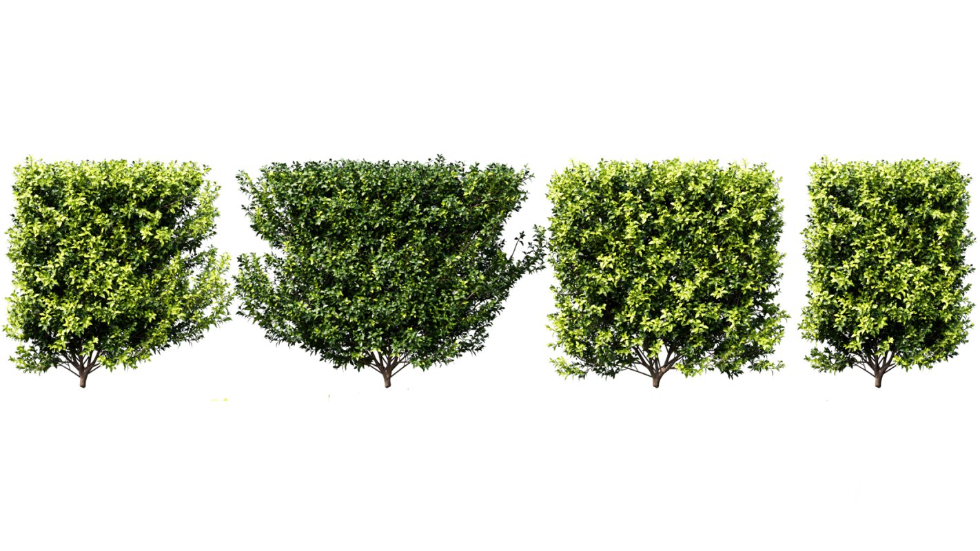 Collection 02 – Mediterrannean Garden Image 4