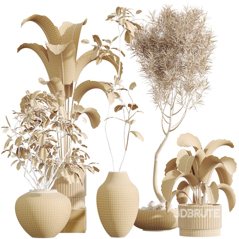 AV Indoor Plants Set 358 Ficus Dracaena Marginata and Banana Strelitzia Nicolai Image 11