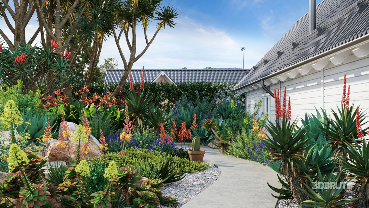 Collection 02 – Mediterrannean Garden Image 1