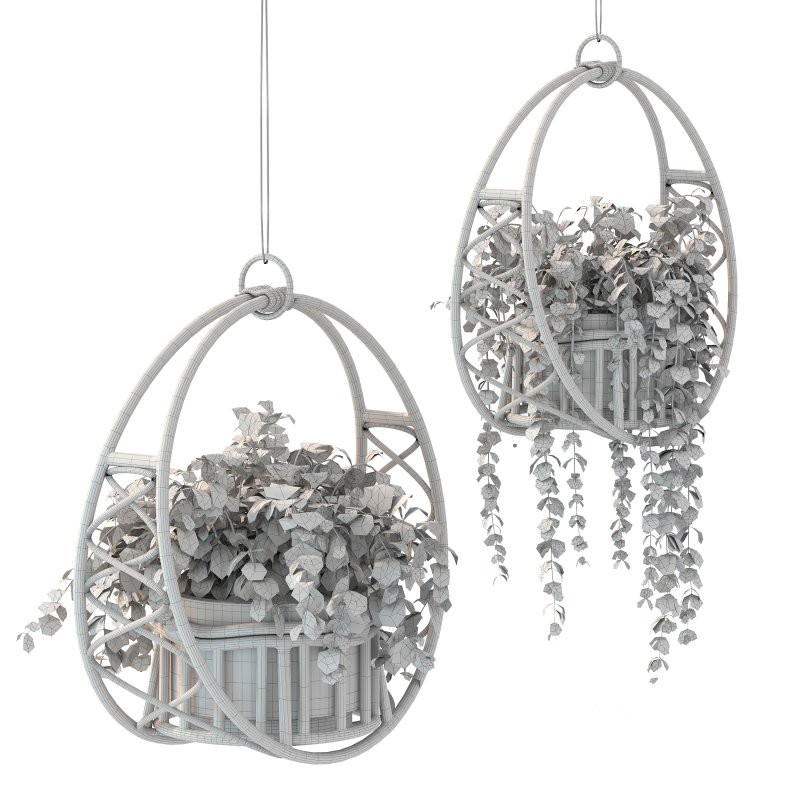 Boho Hanging Plants 05 Image 1