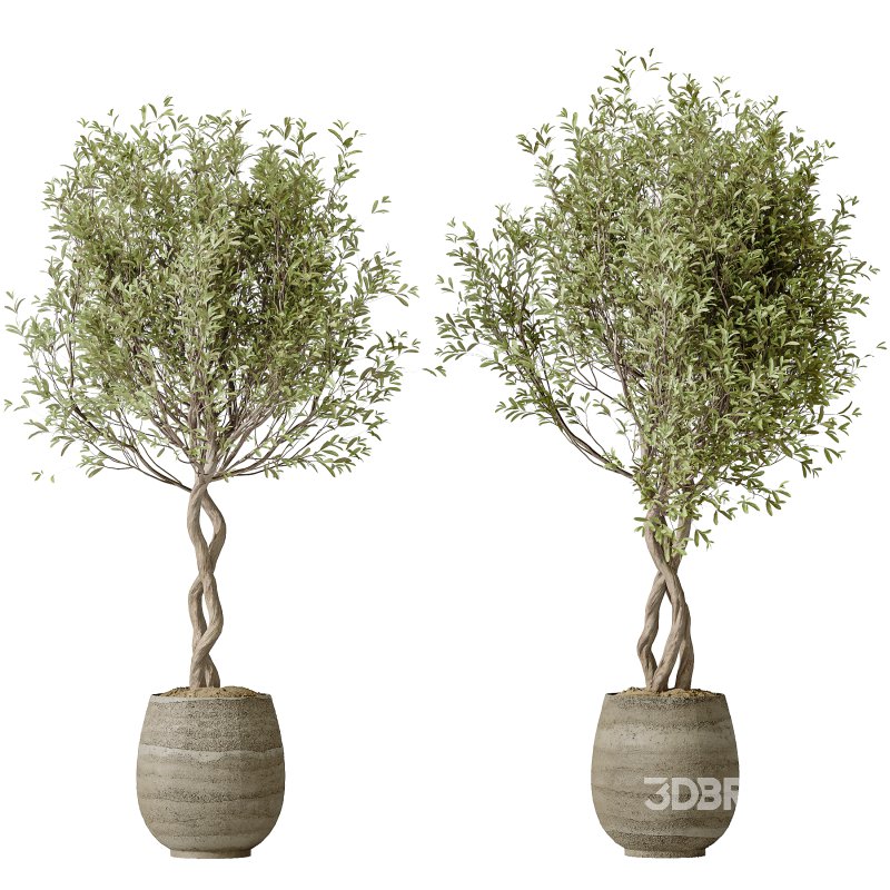 AV Indoor Plants Set 323 Olive Artificial Tree Image 2