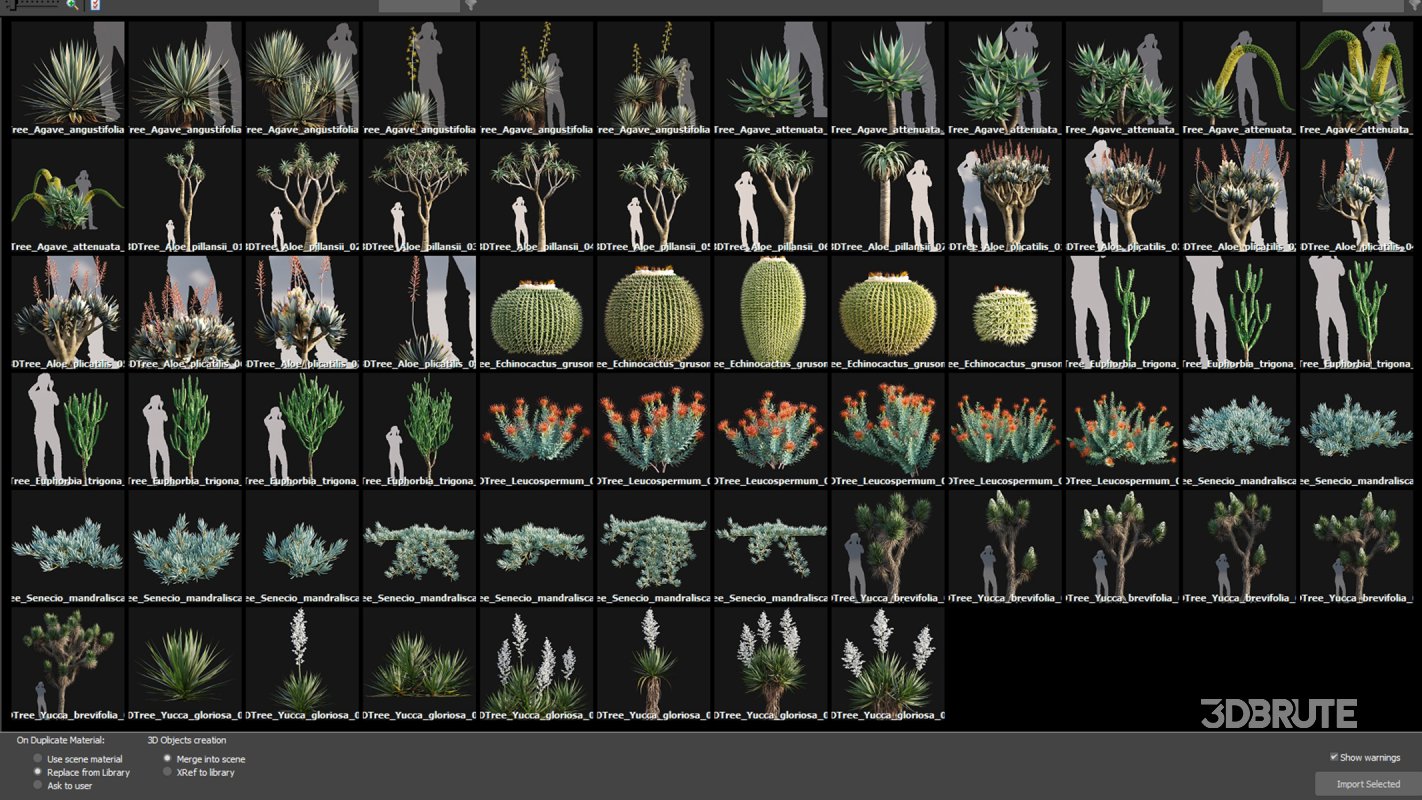 Collection 12 – Desert Garden Image 4