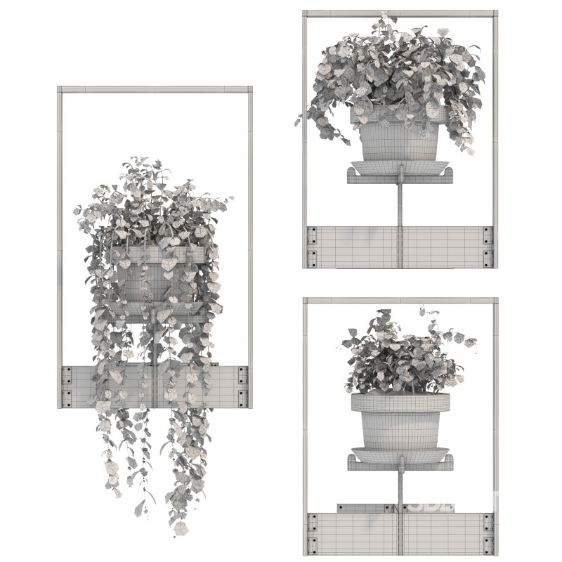 Boho Hanging Plants 04 Image 3