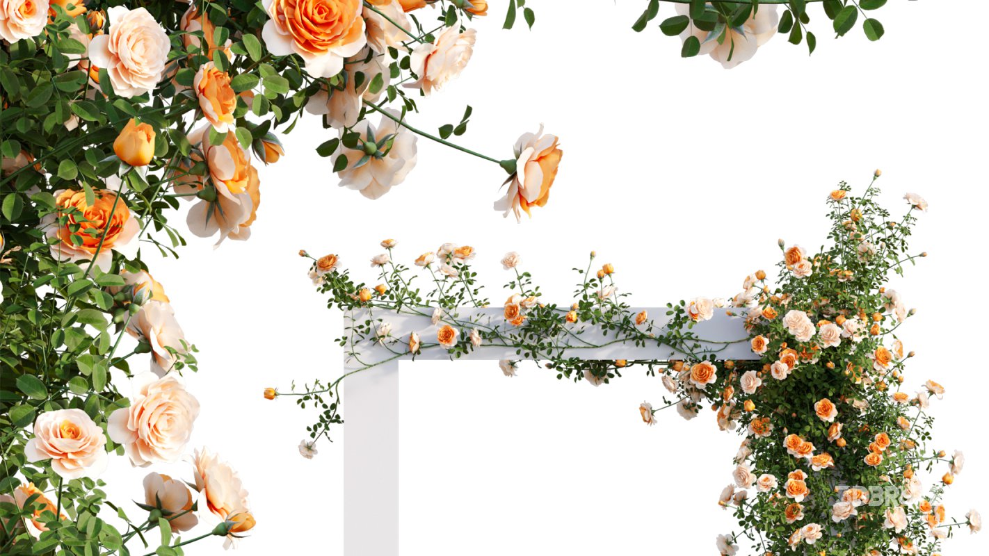 Collection 08 – Rose Garden Image 39