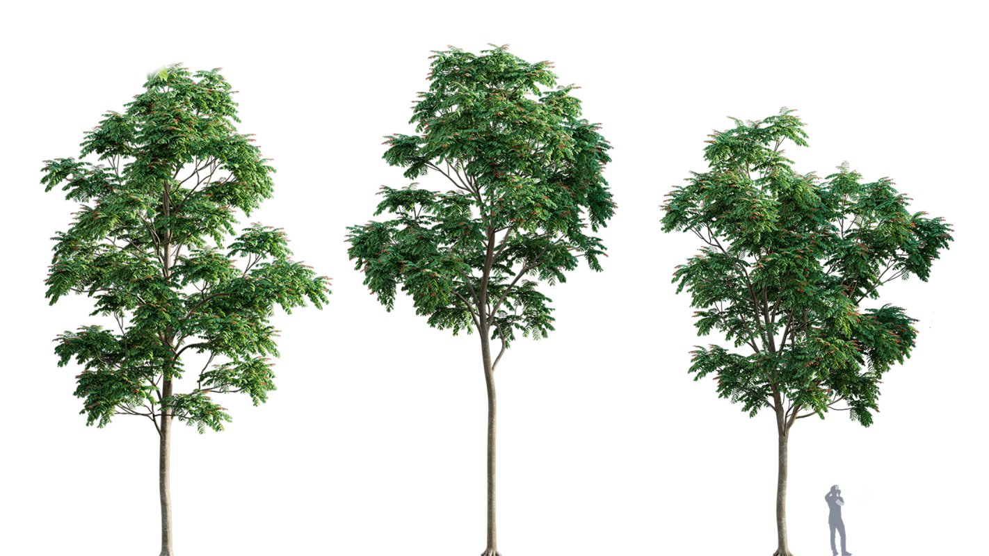 Collection 03 – Park Image 10