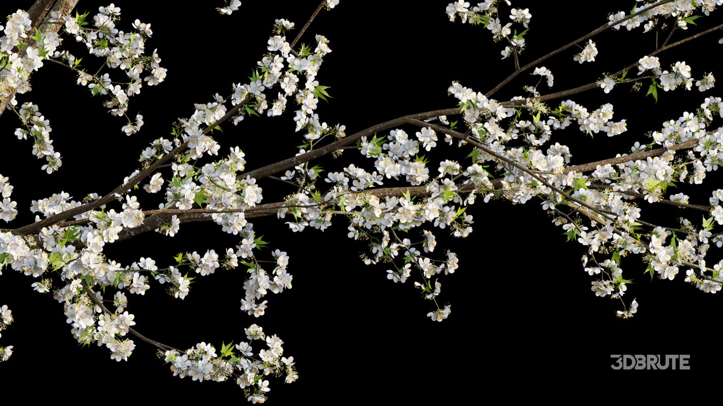 Collection 17 – Chinese garden Image 30