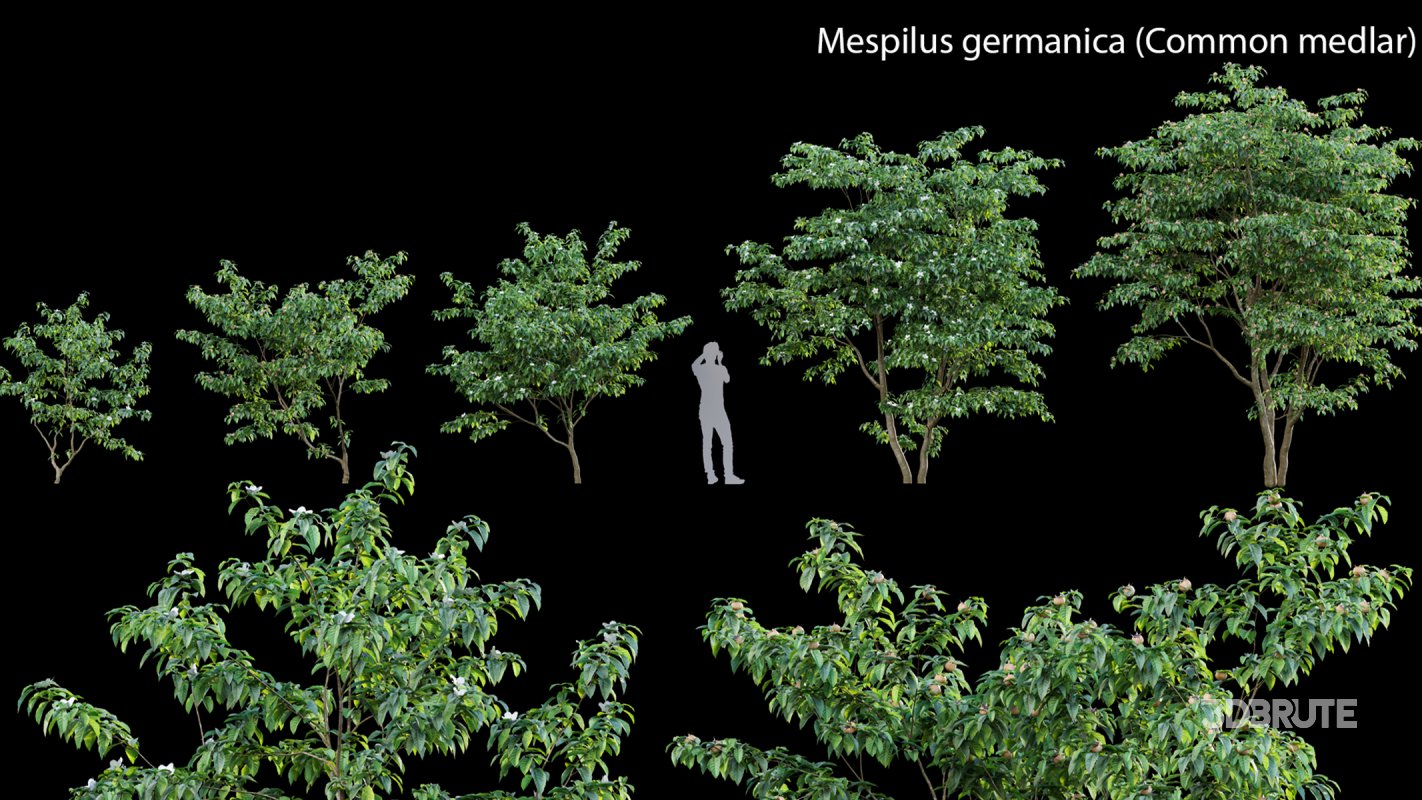 Collection 14 – English Garden Image 32