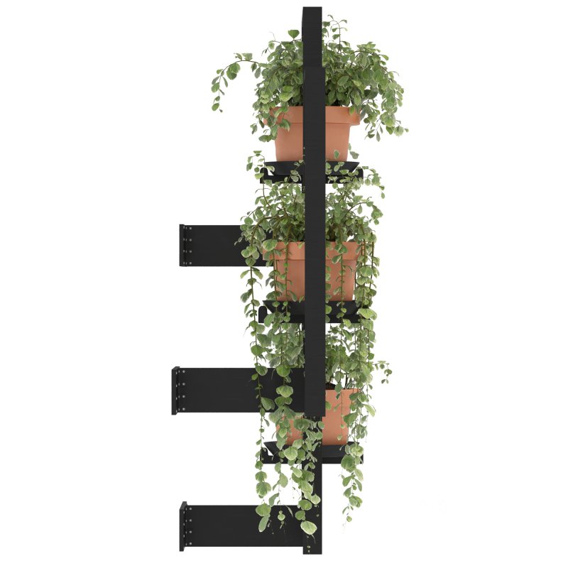 Boho Hanging Plants 04 Image 1