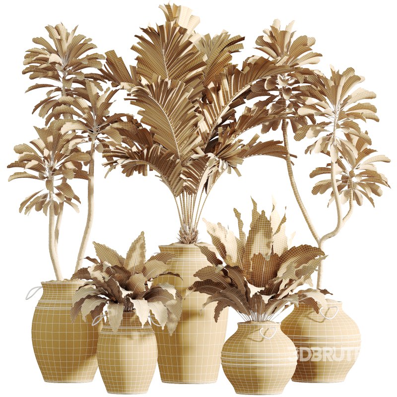AV Indoor Plants Set 314 Spathiphyllum Wallisii and Cyara Areca Palm and Euphorbia Drupifera Image 7