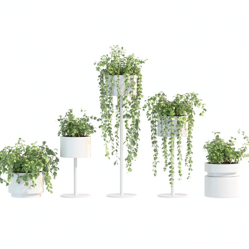 White Metal Plant Set Image 1