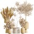 AV Indoor Plants Set 343 Eucalyptus Bouquet and Olive and Ficus Dracaena and Sansevieria - Thumbnail 8