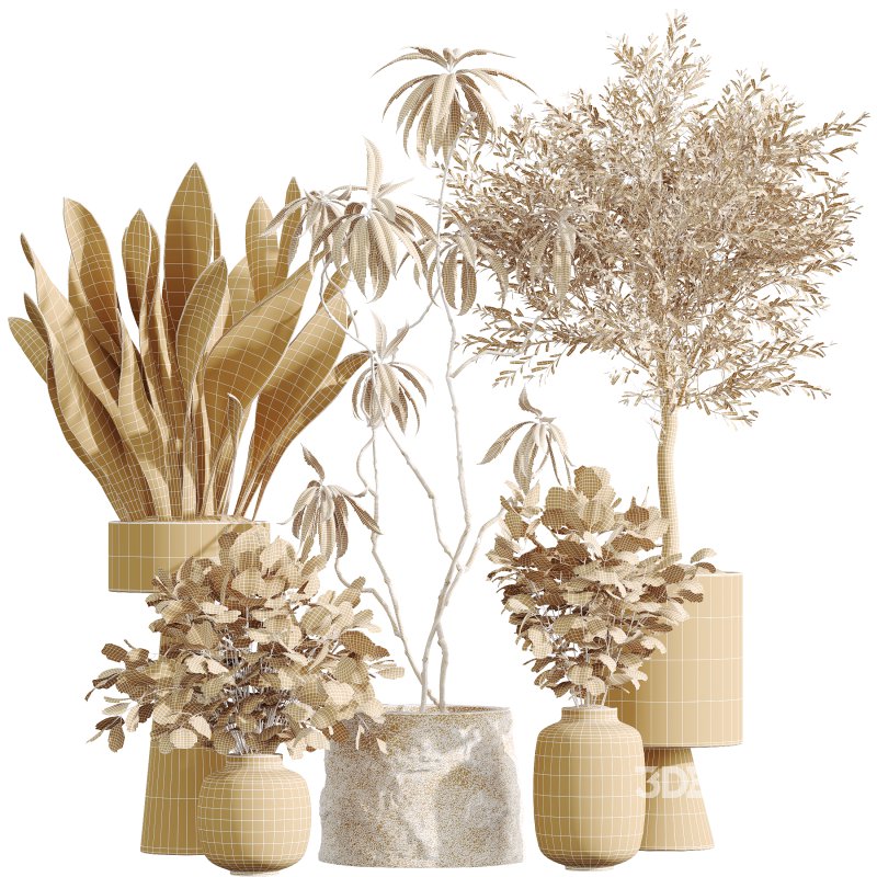 AV Indoor Plants Set 343 Eucalyptus Bouquet and Olive and Ficus Dracaena and Sansevieria Image 8