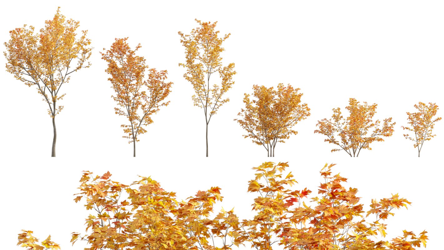 Collection 06 – Japanese Garden Image 5