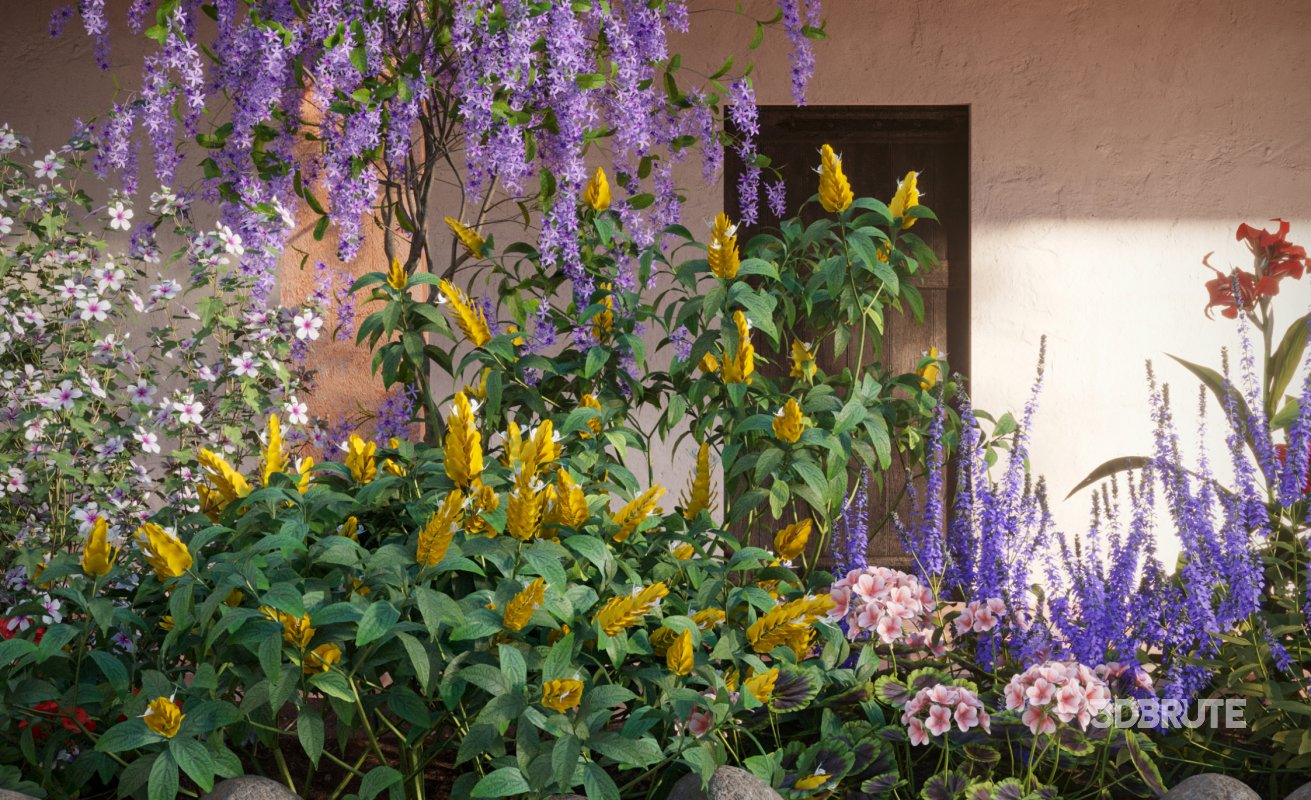 Collection 07 – Central America Garden Image 3