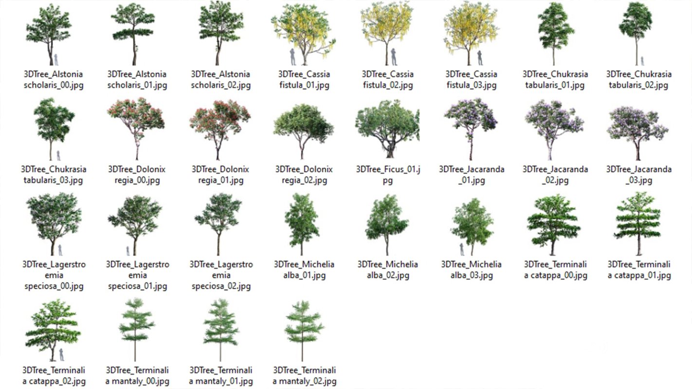 Collection 03 – Park Image 16