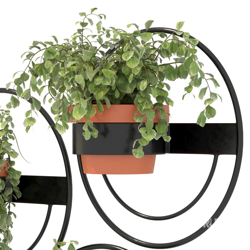 Modern Wall Planters With Geometric Designs Image 6