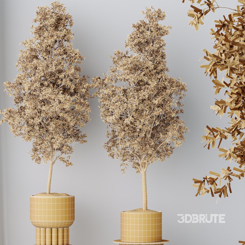 AV Indoor Plants Set 332 Swiss Cheese and Mission Olive and nucifera Coconut Palm Image 7