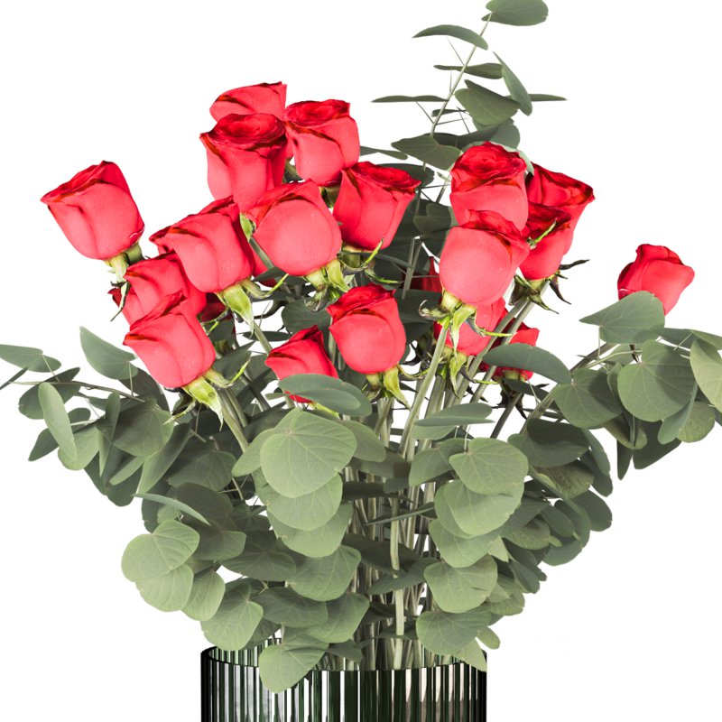 Rose in Glass Vase Image 4