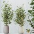 AV Indoor Plants Set 350 Olive Eucalyptus and Banana Nicolai and Yucca and Bonsai Orange - Thumbnail 6