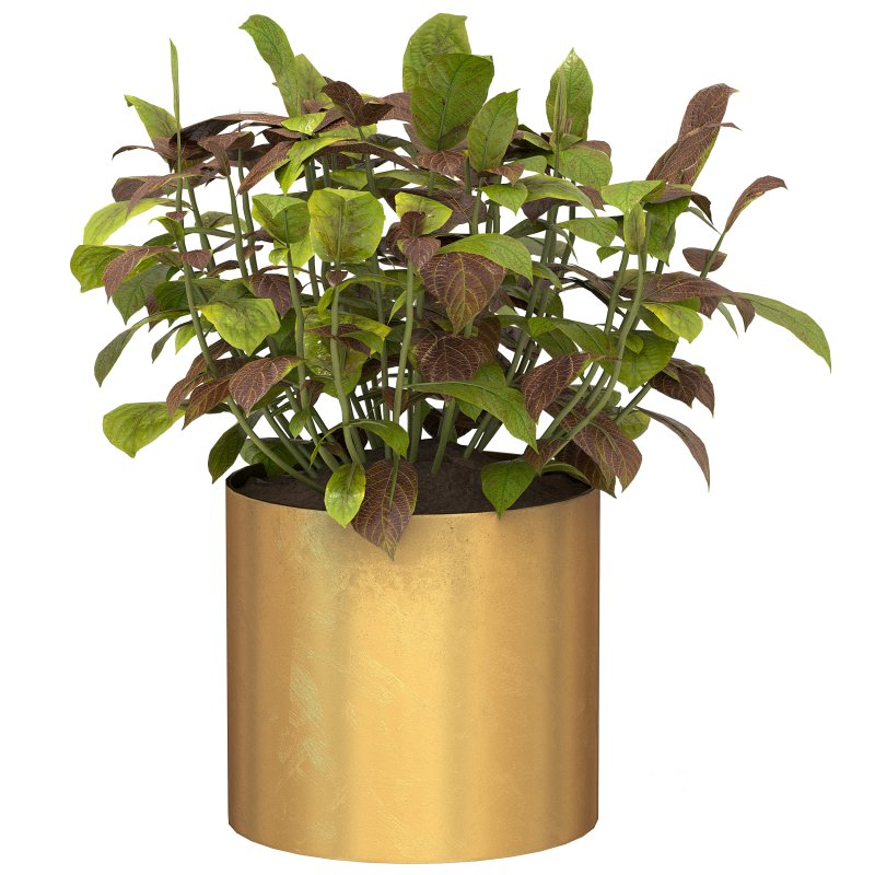 Metal Plant Set 05 Image 8