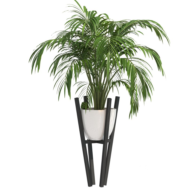 Stone Pot Plant Set Image 2