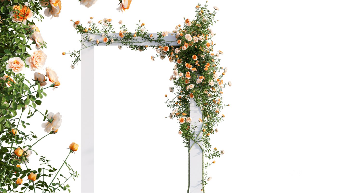 Collection 08 – Rose Garden Image 40