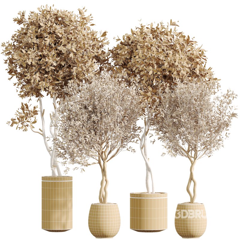 AV Indoor Plants Set 323 Olive Artificial Tree Image 5