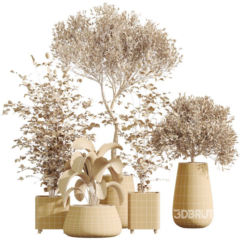 AV Indoor Plants Set 325 Alnus Glutinosa Alder and Mission Olive and Banana Nicolai Image 7