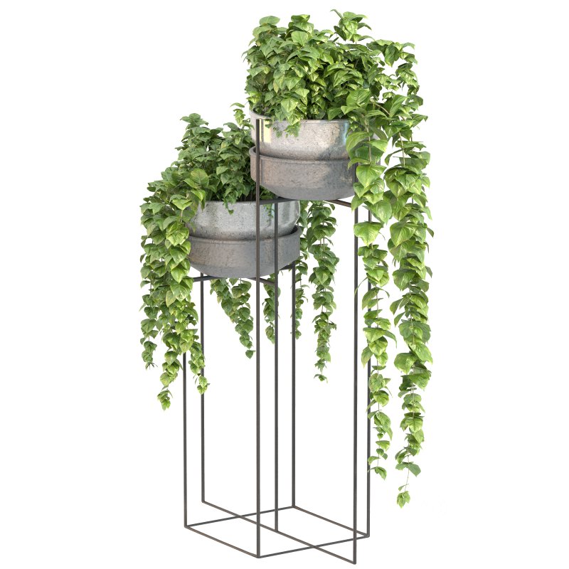 Metal Standing With Money Plant Image 5