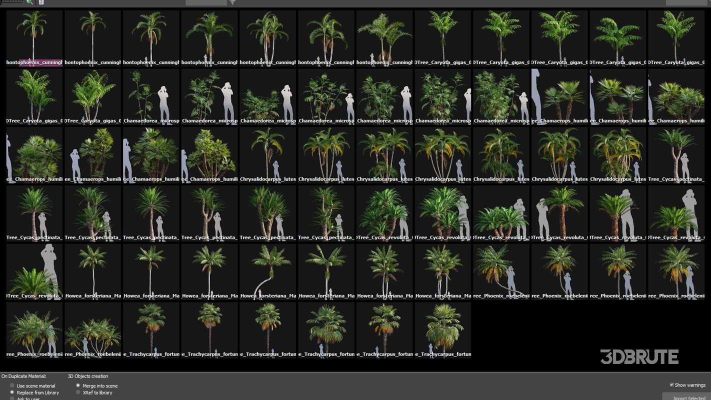 Collection 10 – Palm garden Image 4
