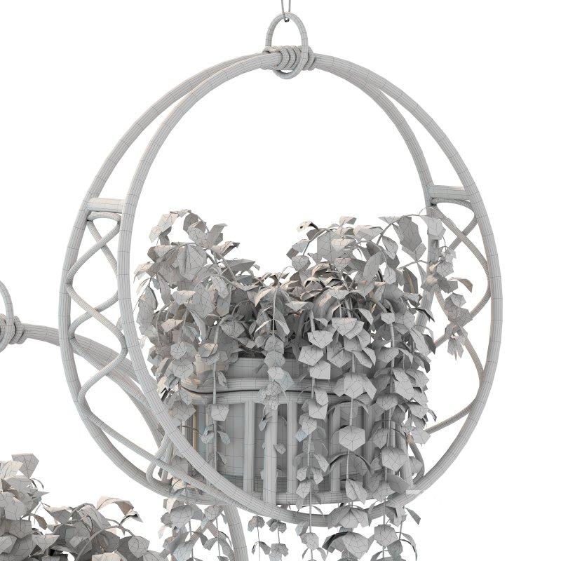 Boho Hanging Plants 05 Image 4