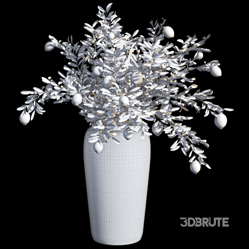 Indoor Bonsai Lemon Tree in Pot Image 4