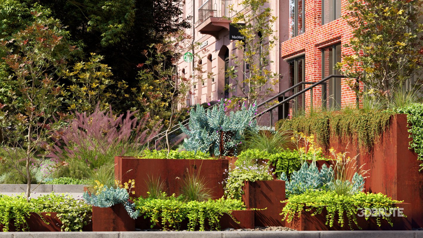 Collection 11 – Ground cover – Vines and Creepers Image 1