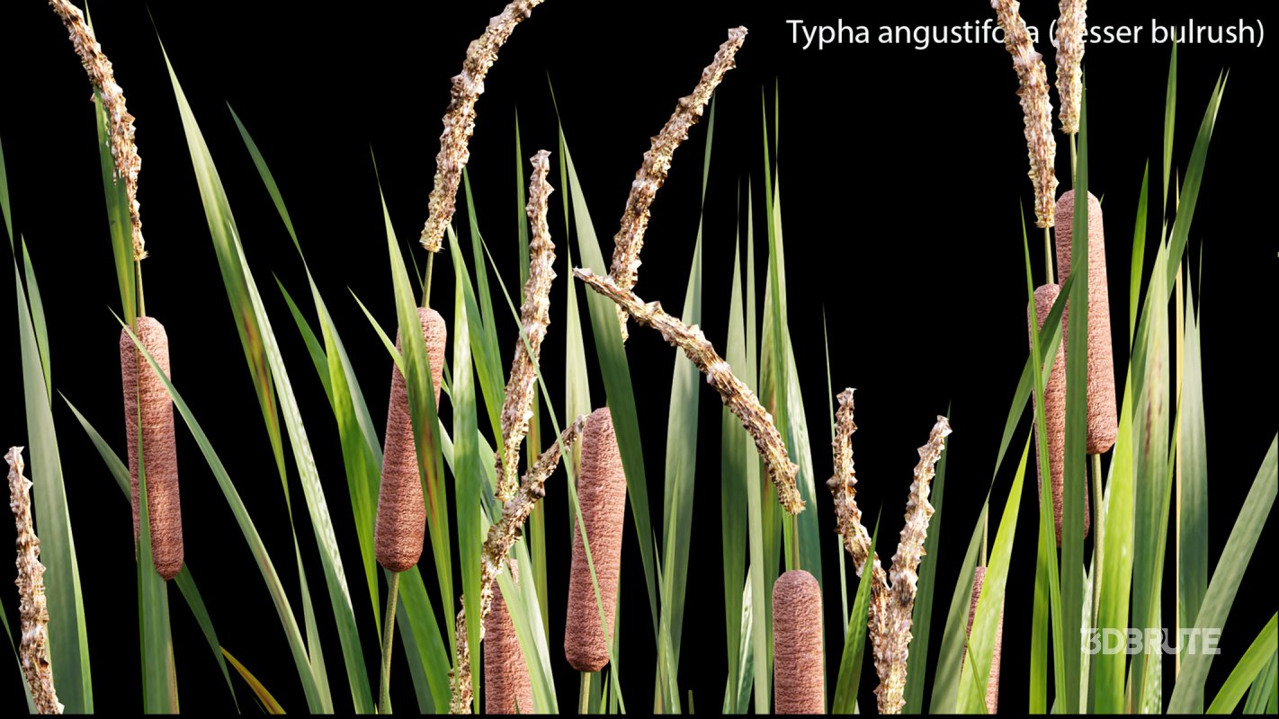 Collection 14 – English Garden Image 42